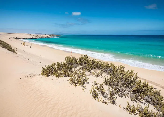 Lägenhet Home2book Charming Poolside Retreat